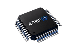 chip-image